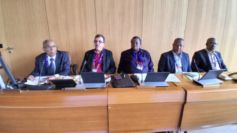 Meeting of African Delegates on Evaluation of Work of 114th Session of ILC